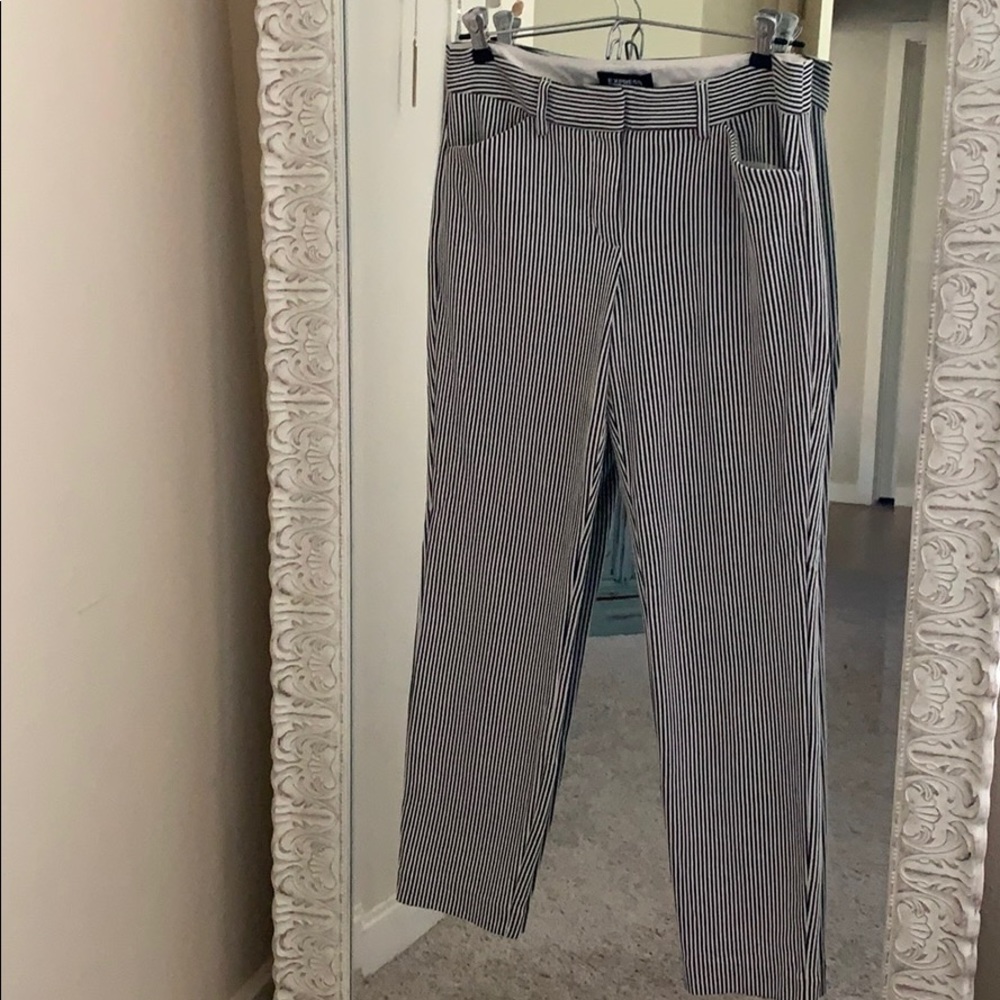 Express Columnist Dress Pants